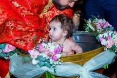 BT3-4-6-e1582575479600