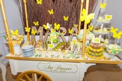 BT2-14-e1582576025113