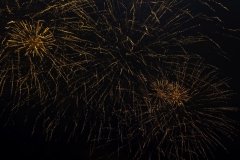 Foto-nunta-114